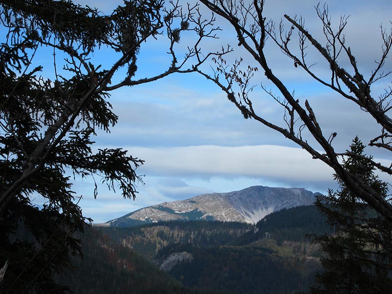 geissangerkogel